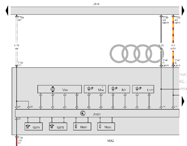 Wiring diagram of right headlight MX2: CAN-H to J519 T73b/42 and CAN-L to J519 T73b/43